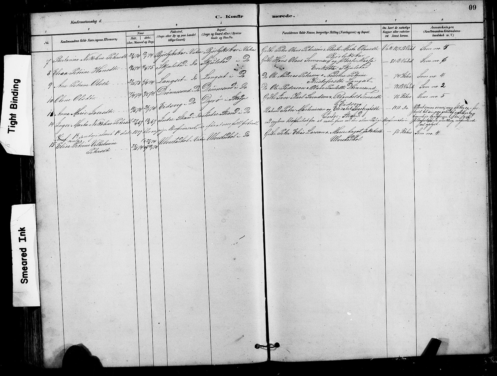 Ministerialprotokoller, klokkerbøker og fødselsregistre - Møre og Romsdal, AV/SAT-A-1454/525/L0376: Parish register (copy) no. 525C02, 1880-1902, p. 99