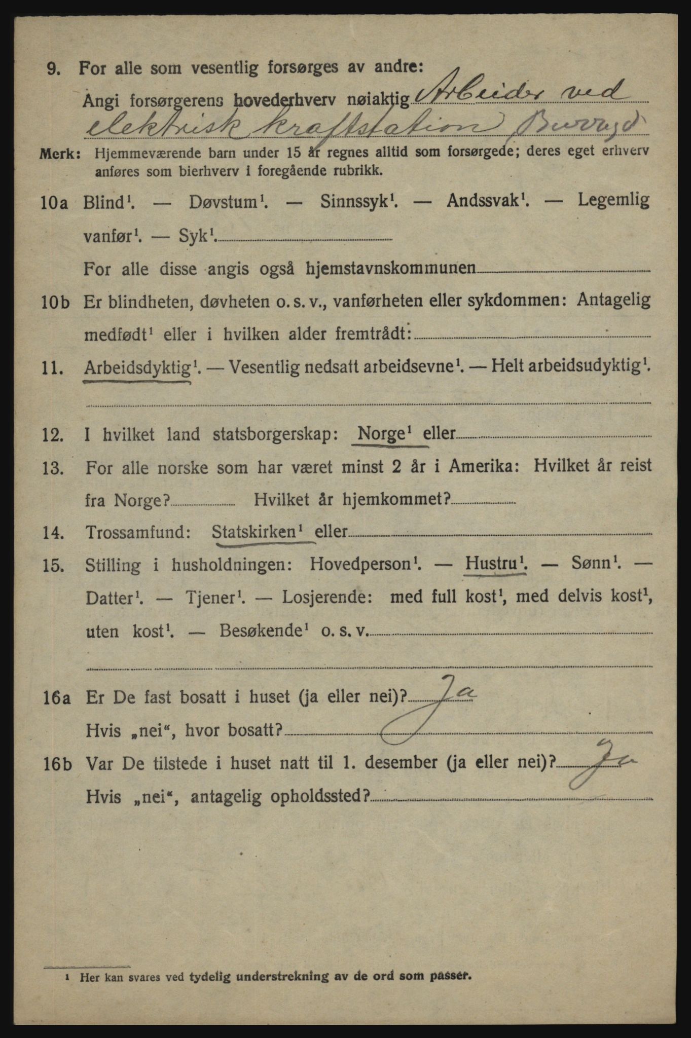 SAO, 1920 census for Skjeberg, 1920, p. 11624