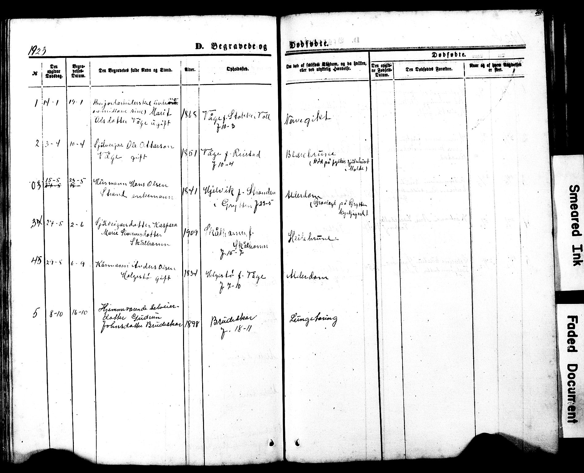 Ministerialprotokoller, klokkerbøker og fødselsregistre - Møre og Romsdal, SAT/A-1454/550/L0618: Parish register (copy) no. 550C01, 1870-1927, p. 265