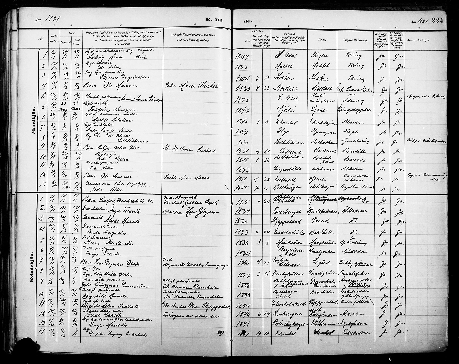 Nord-Odal prestekontor, AV/SAH-PREST-032/H/Ha/Hab/L0003: Parish register (copy) no. 3, 1895-1923, p. 224