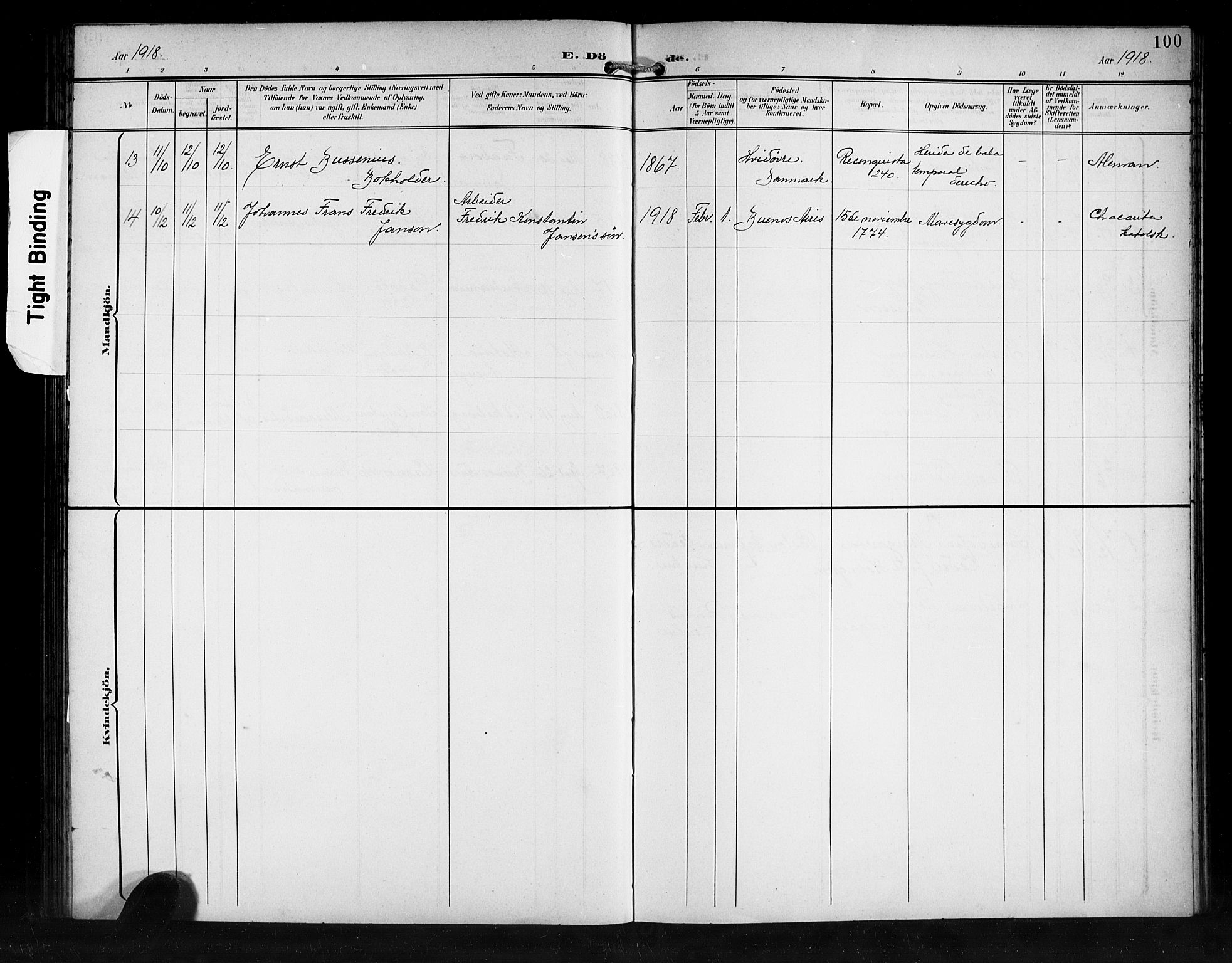 Den norske sjømannsmisjon i utlandet/Syd-Amerika (Buenos Aires m.fl.), SAB/SAB/PA-0118/H/Ha/L0002: Parish register (official) no. A 2, 1899-1919, p. 100
