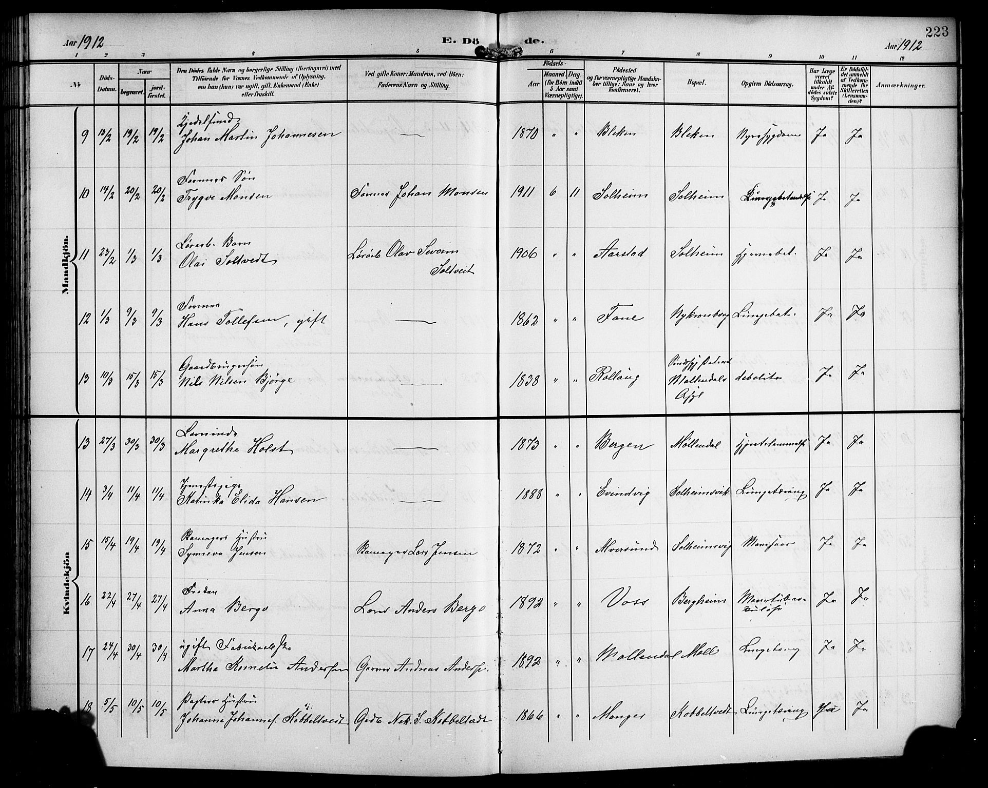 Årstad Sokneprestembete, SAB/A-79301/H/Hab/L0018: Parish register (copy) no. C 1, 1902-1919, p. 223