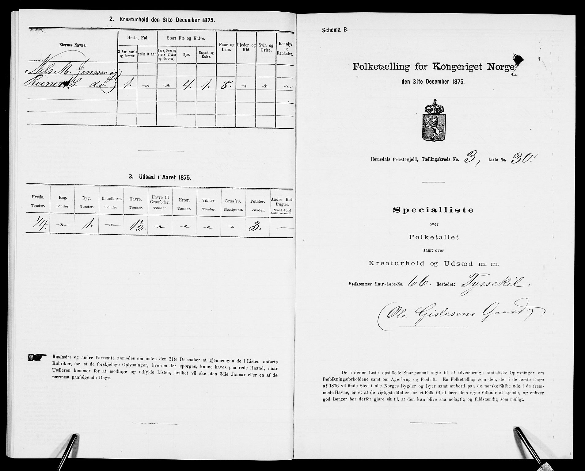 SAK, 1875 census for 0924P Homedal, 1875, p. 796