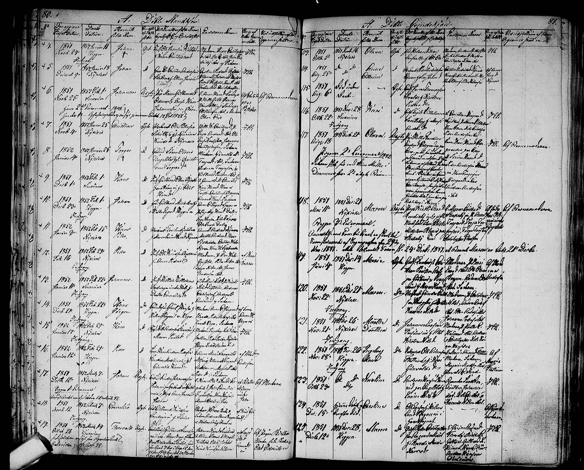 Modum kirkebøker, AV/SAKO-A-234/G/Ga/L0005: Parish register (copy) no. I 5, 1847-1853, p. 80-81