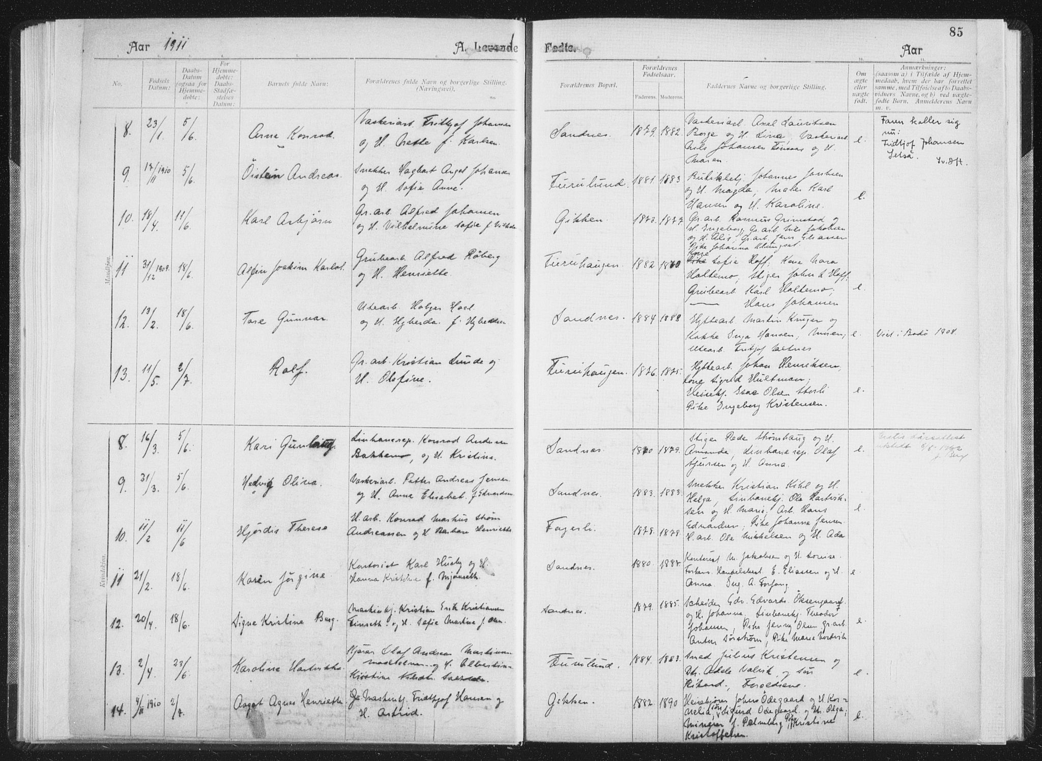 Ministerialprotokoller, klokkerbøker og fødselsregistre - Nordland, SAT/A-1459/850/L0711: Curate's parish register no. 850B01, 1902-1915, p. 85
