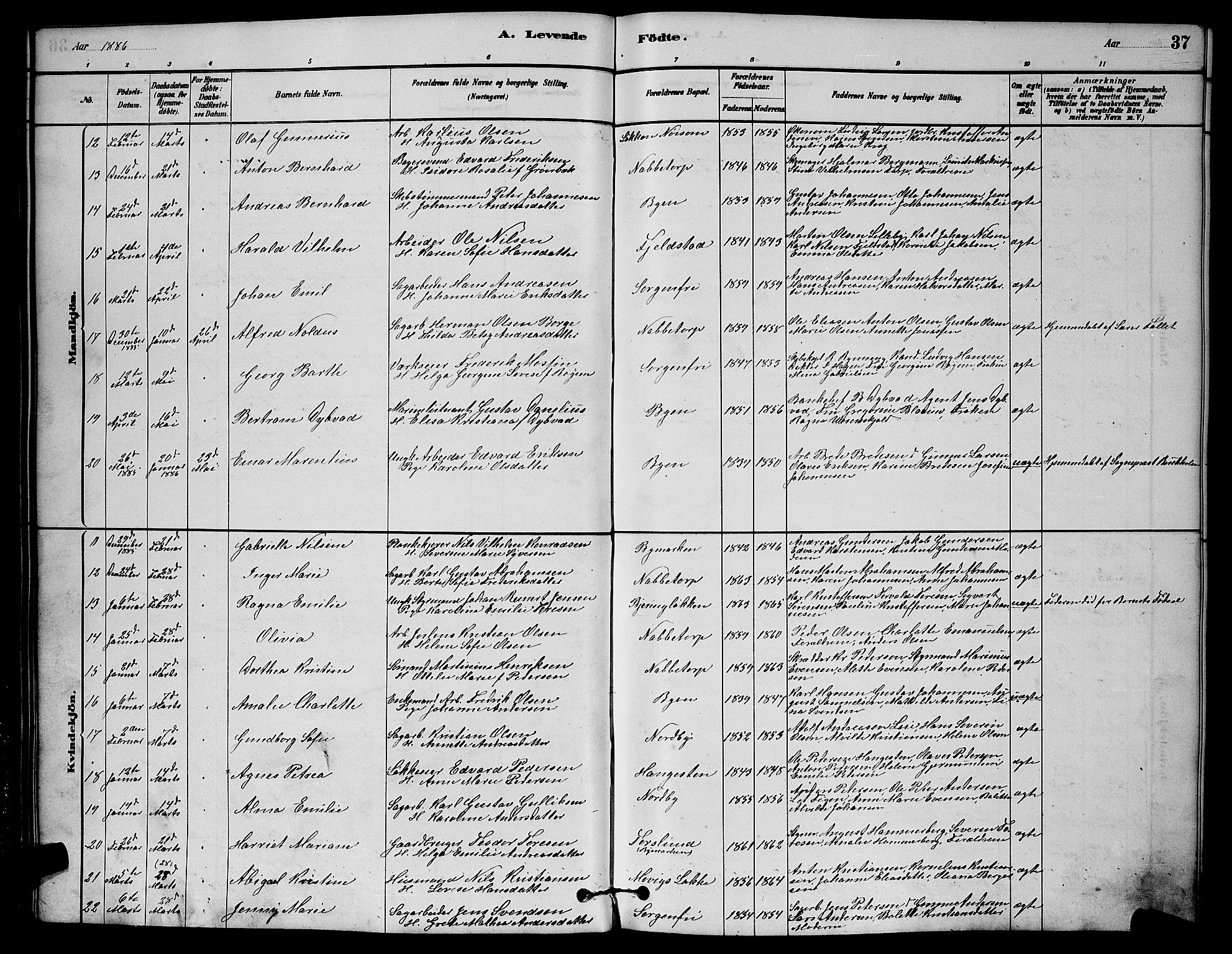 Østre Fredrikstad prestekontor Kirkebøker, SAO/A-10907/G/Ga/L0001: Parish register (copy) no. 1, 1880-1899, p. 37