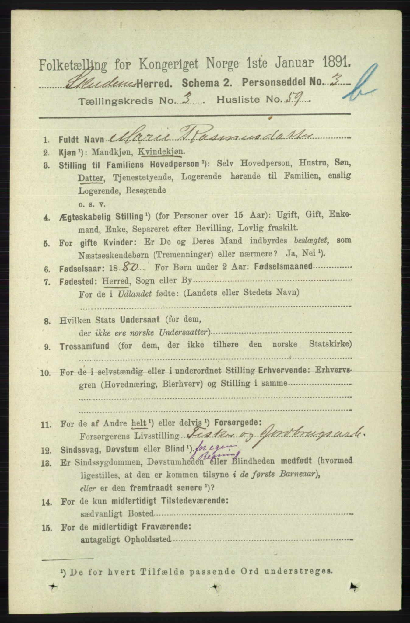 RA, 1891 census for 1150 Skudenes, 1891, p. 4309