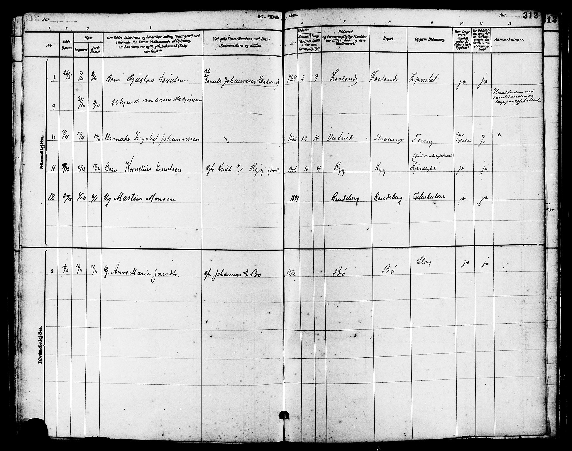 Hetland sokneprestkontor, SAST/A-101826/30/30BB/L0006: Parish register (copy) no. B 6, 1878-1921, p. 312