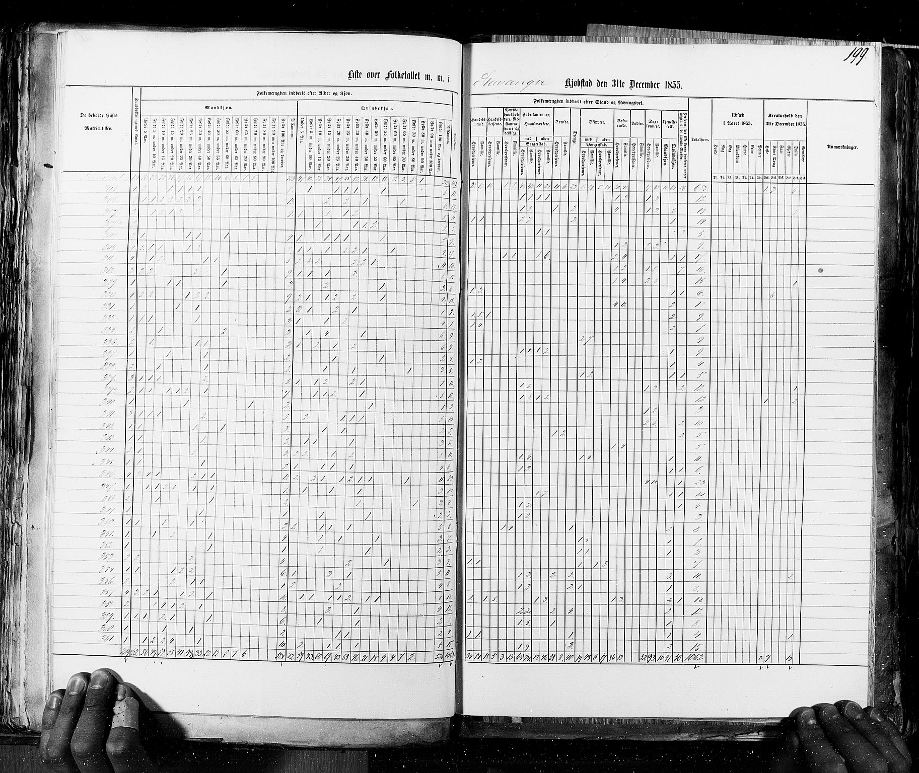 RA, Census 1855, vol. 8: Risør-Vadsø, 1855, p. 199