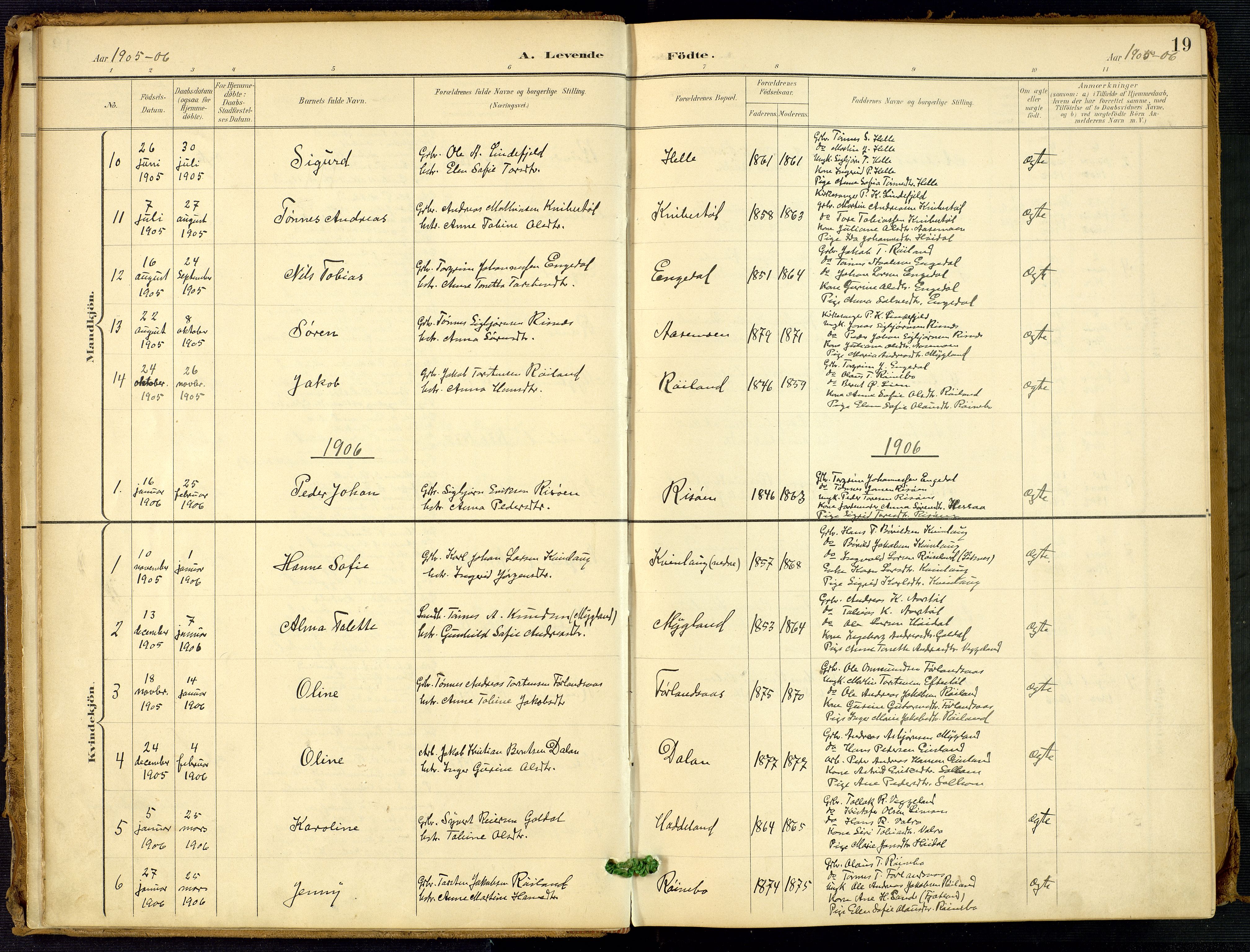 Fjotland sokneprestkontor, AV/SAK-1111-0010/F/Fa/L0003: Parish register (official) no. A 3, 1899-1917, p. 19