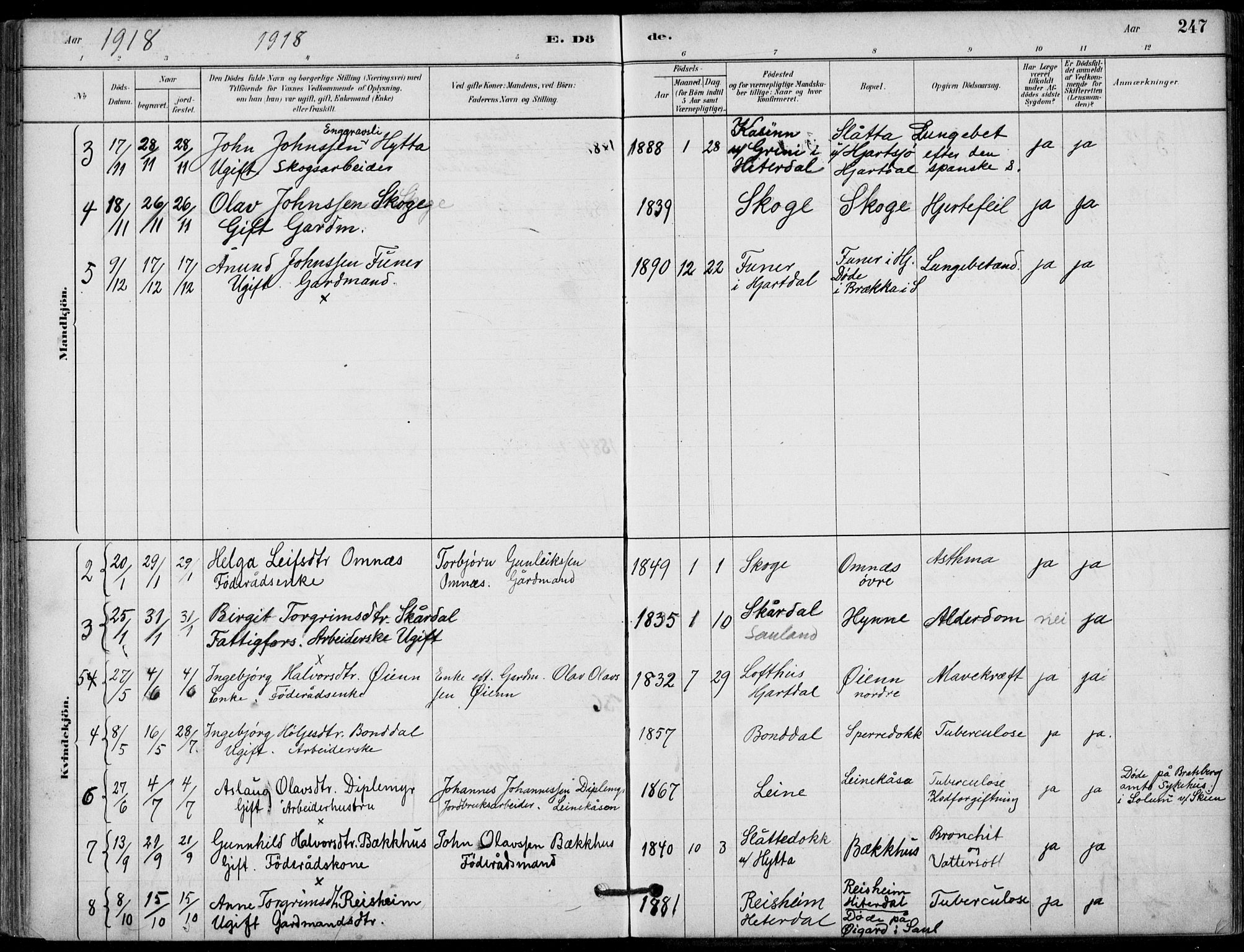 Hjartdal kirkebøker, SAKO/A-270/F/Fb/L0002: Parish register (official) no. II 2, 1880-1932, p. 247