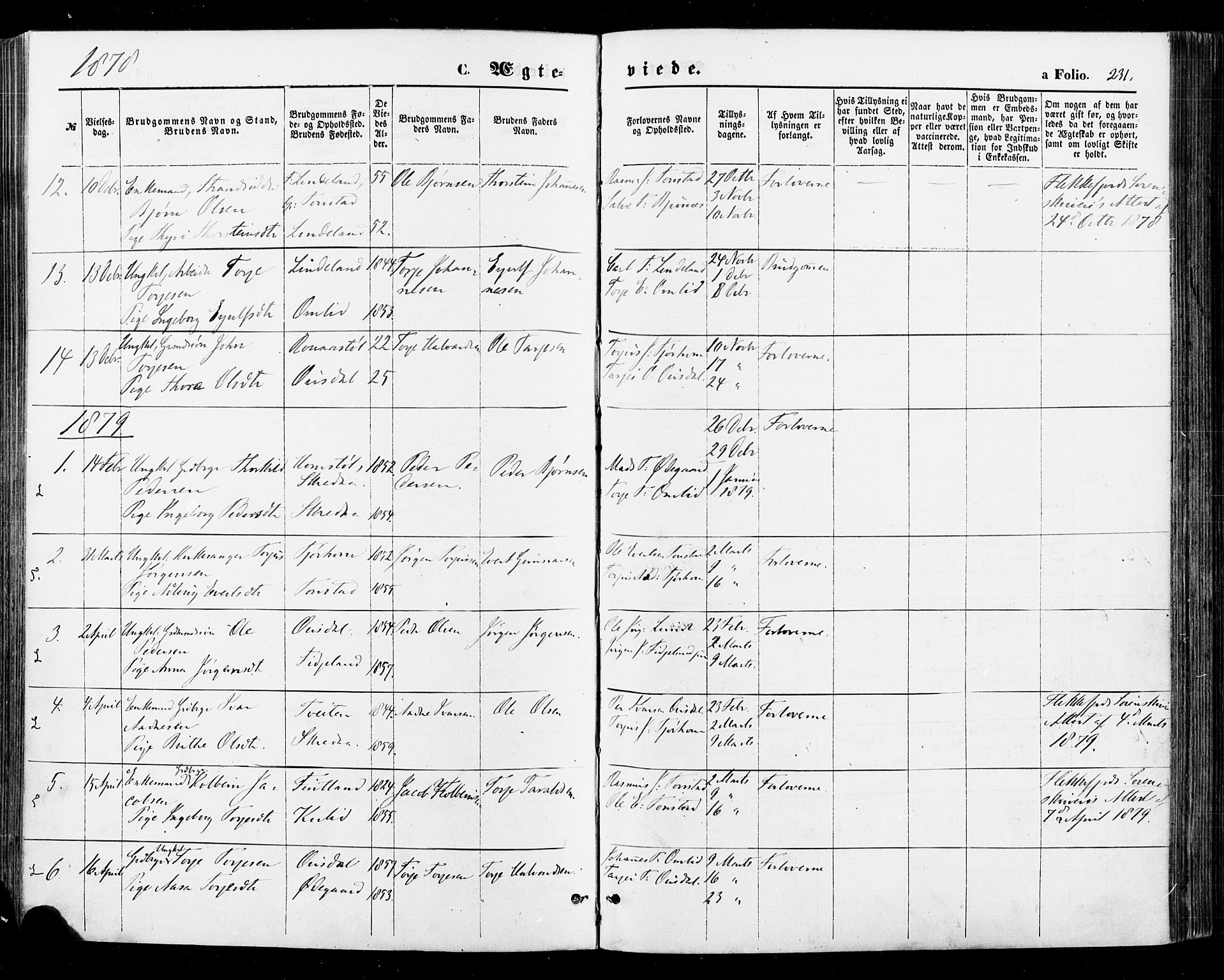 Sirdal sokneprestkontor, AV/SAK-1111-0036/F/Fa/Fab/L0003: Parish register (official) no. A 3, 1874-1886, p. 231