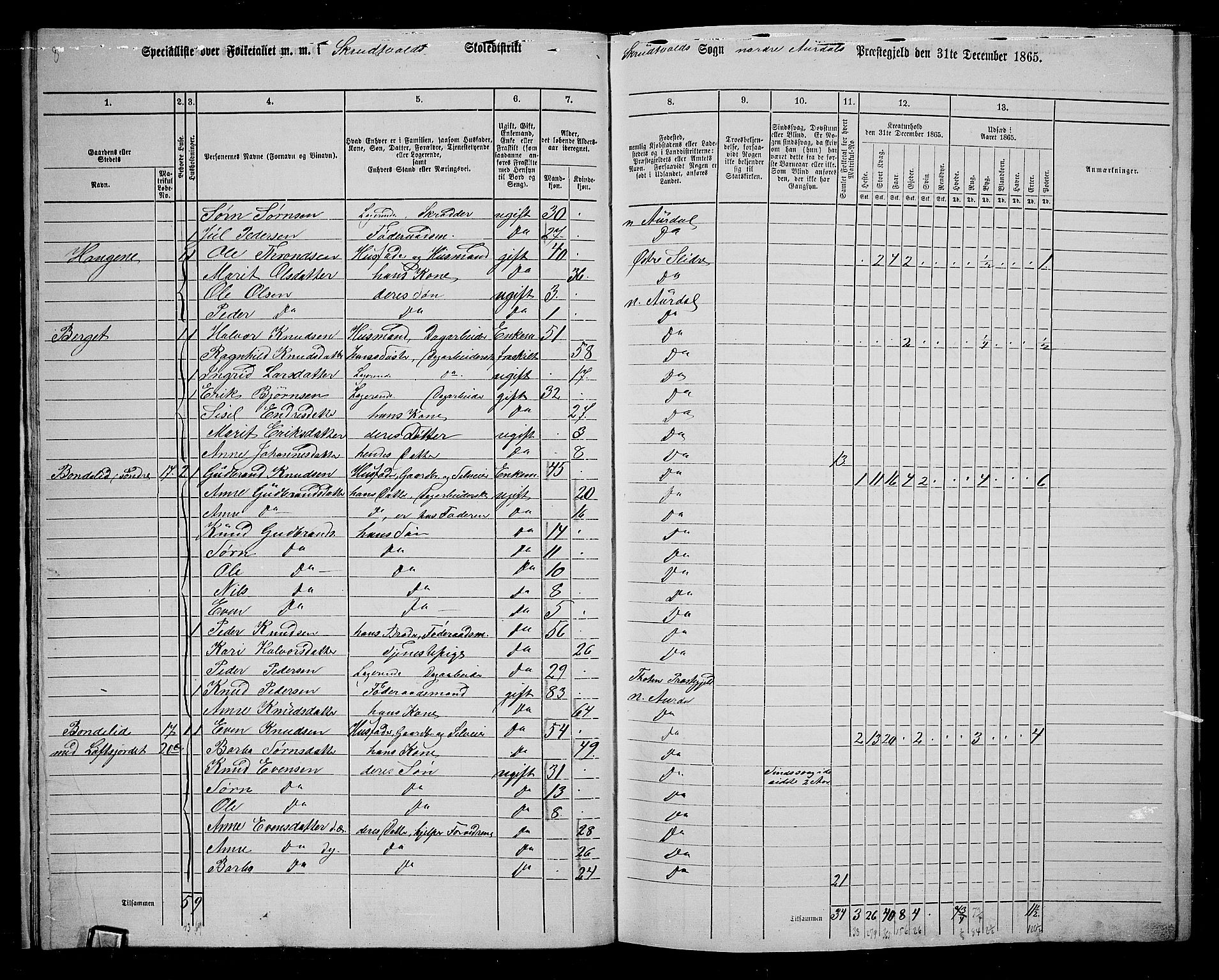 RA, 1865 census for Nord-Aurdal, 1865, p. 20