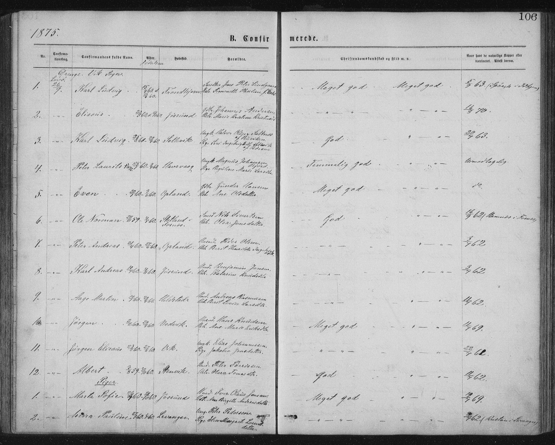 Ministerialprotokoller, klokkerbøker og fødselsregistre - Nord-Trøndelag, SAT/A-1458/771/L0596: Parish register (official) no. 771A03, 1870-1884, p. 106