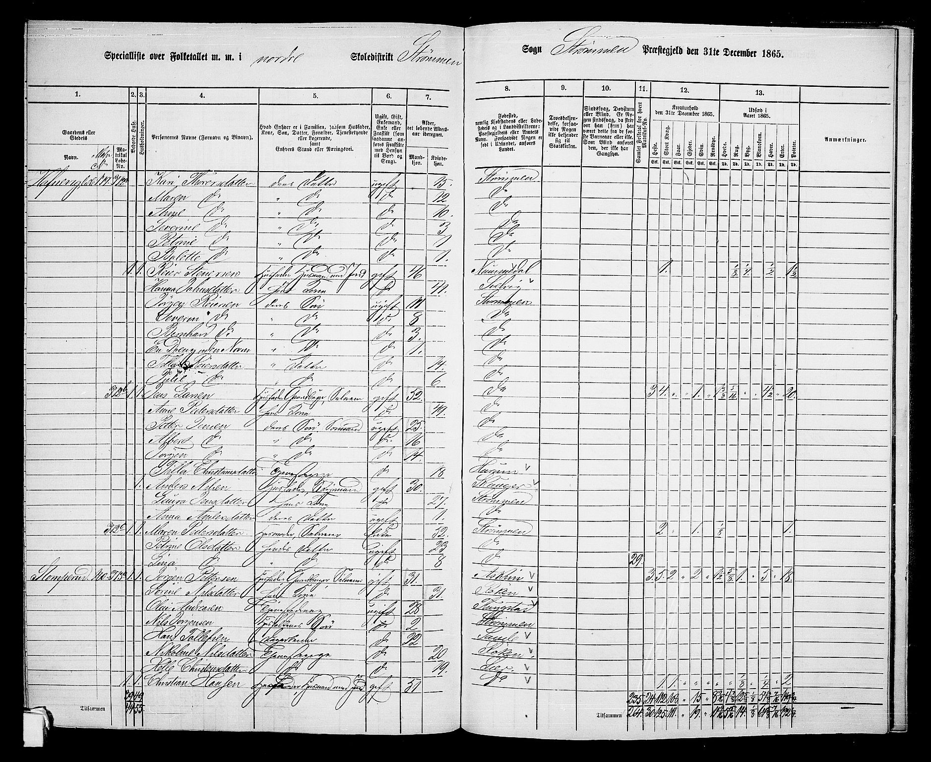 RA, 1865 census for Strømm, 1865, p. 44