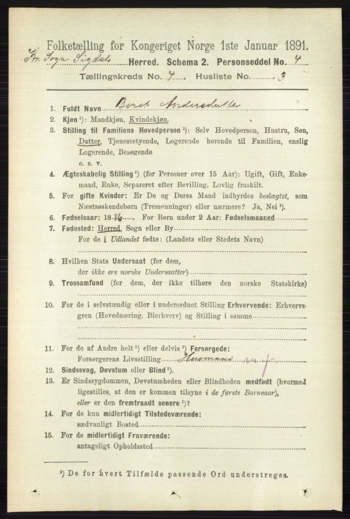 RA, 1891 census for 0621 Sigdal, 1891, p. 6015