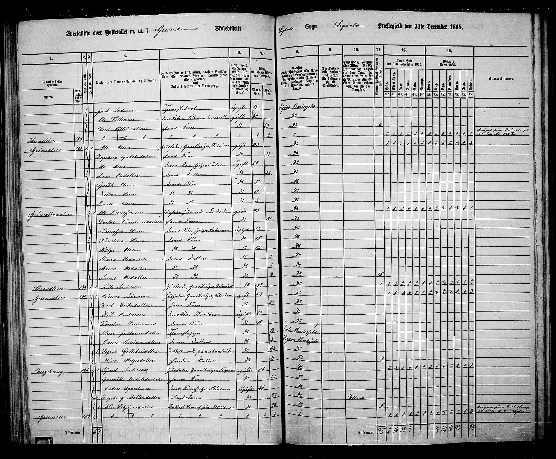 RA, 1865 census for Sigdal, 1865, p. 100