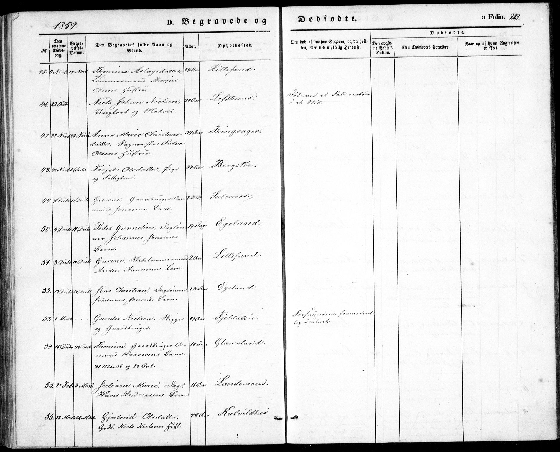 Vestre Moland sokneprestkontor, AV/SAK-1111-0046/F/Fb/Fbb/L0003: Parish register (copy) no. B 3, 1851-1861, p. 229