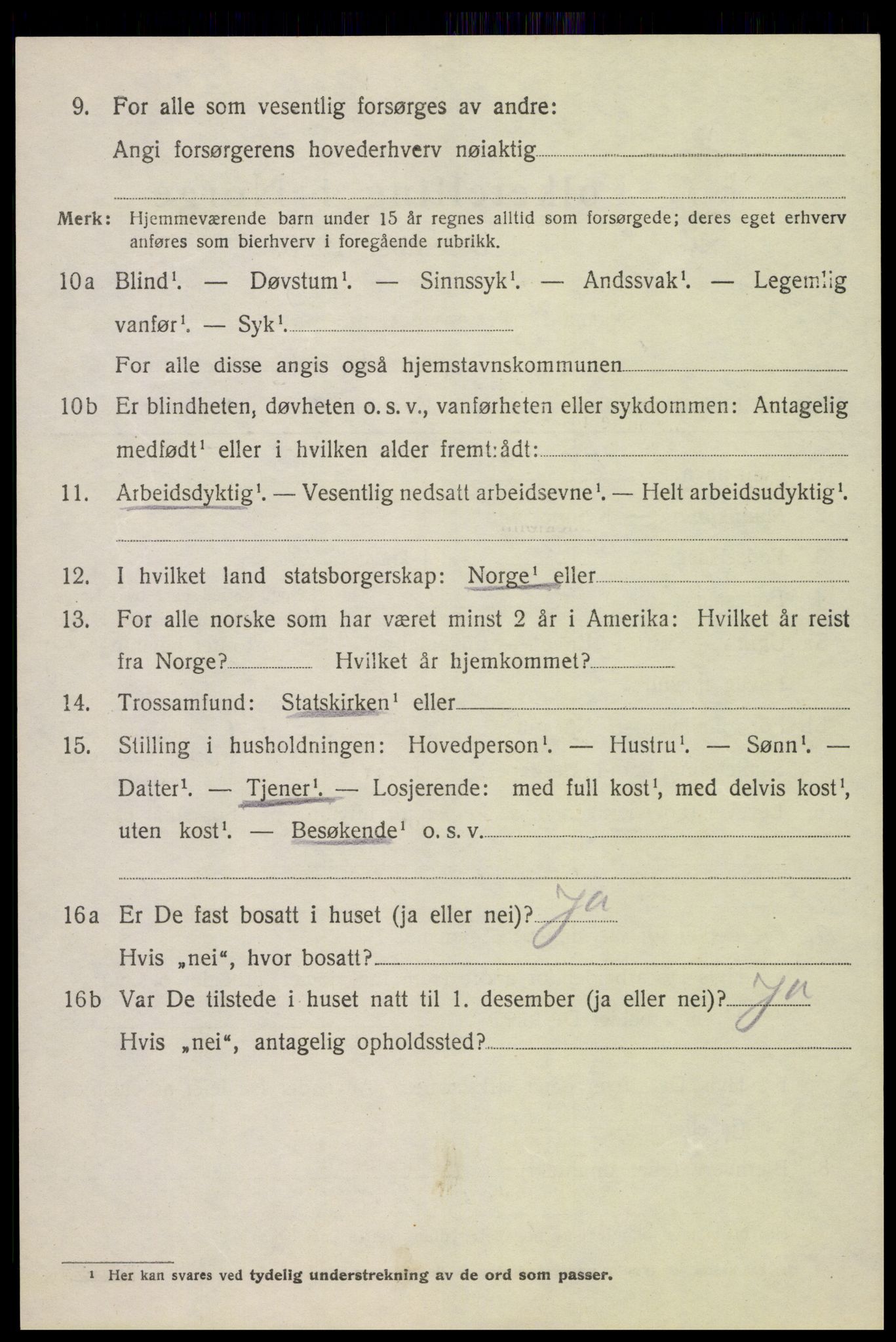 SAH, 1920 census for Dovre, 1920, p. 1249