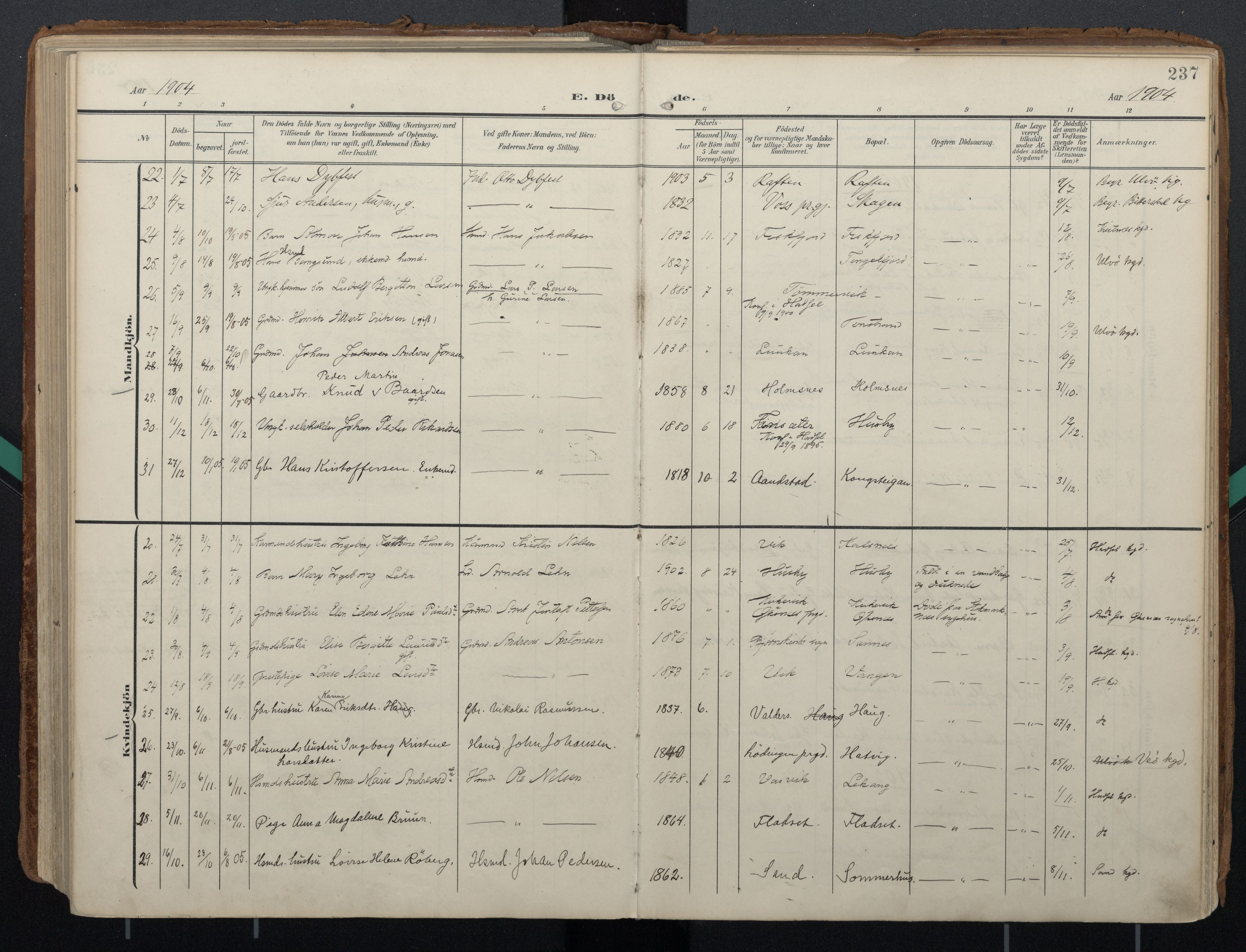 Ministerialprotokoller, klokkerbøker og fødselsregistre - Nordland, AV/SAT-A-1459/888/L1248: Parish register (official) no. 888A14, 1904-1913, p. 237