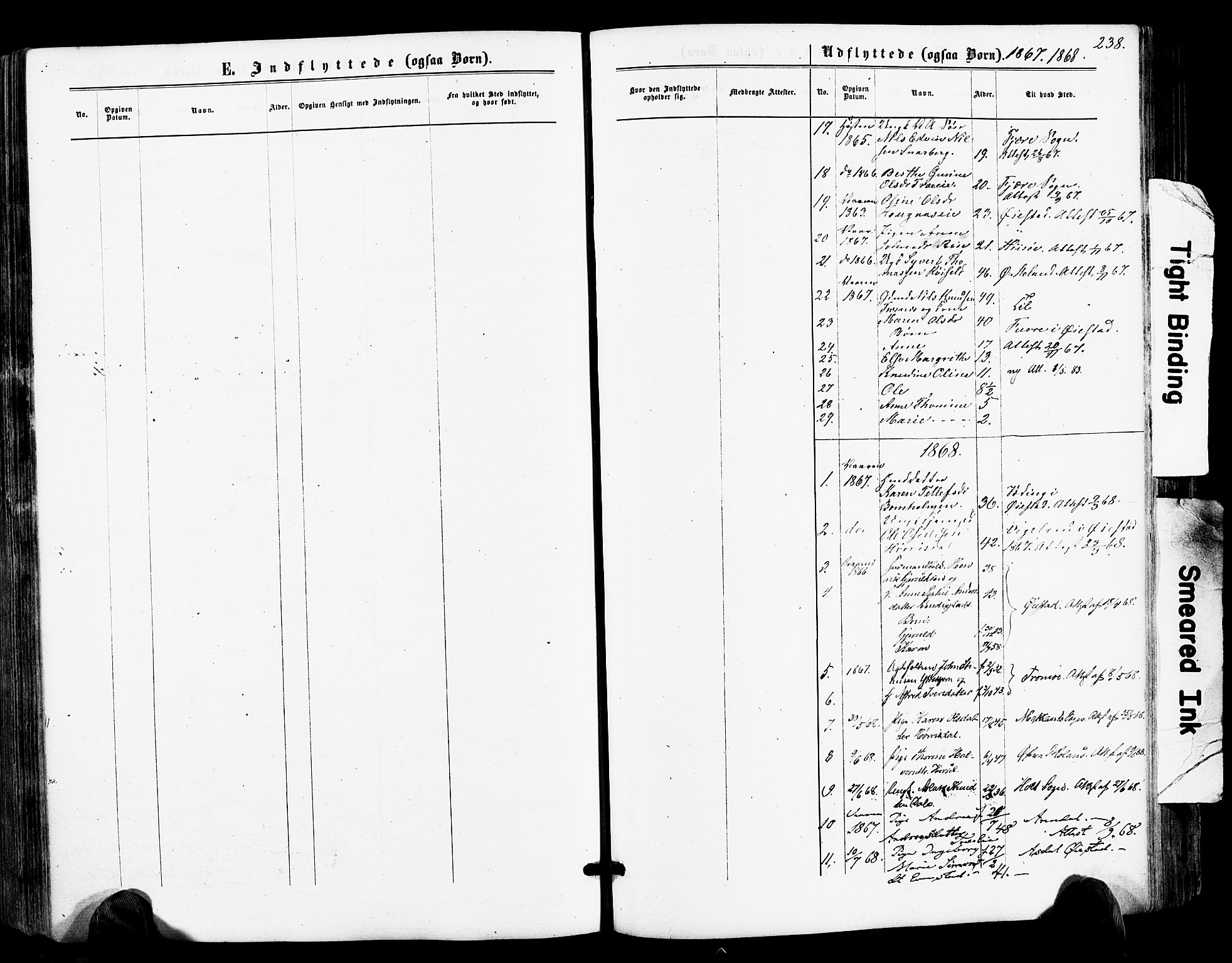 Froland sokneprestkontor, SAK/1111-0013/F/Fa/L0003: Parish register (official) no. A 3, 1864-1881, p. 238