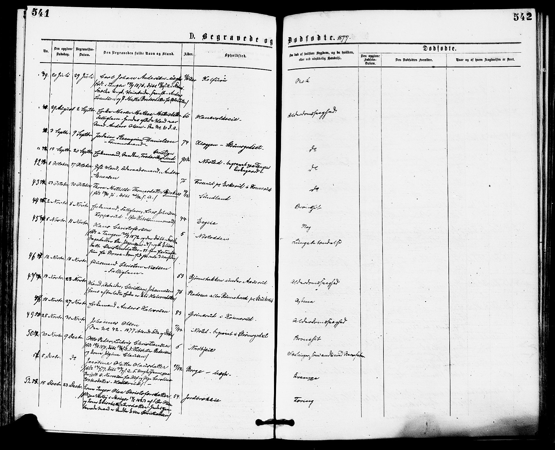 Skoger kirkebøker, AV/SAKO-A-59/F/Fa/L0005: Parish register (official) no. I 5, 1873-1884, p. 541-542