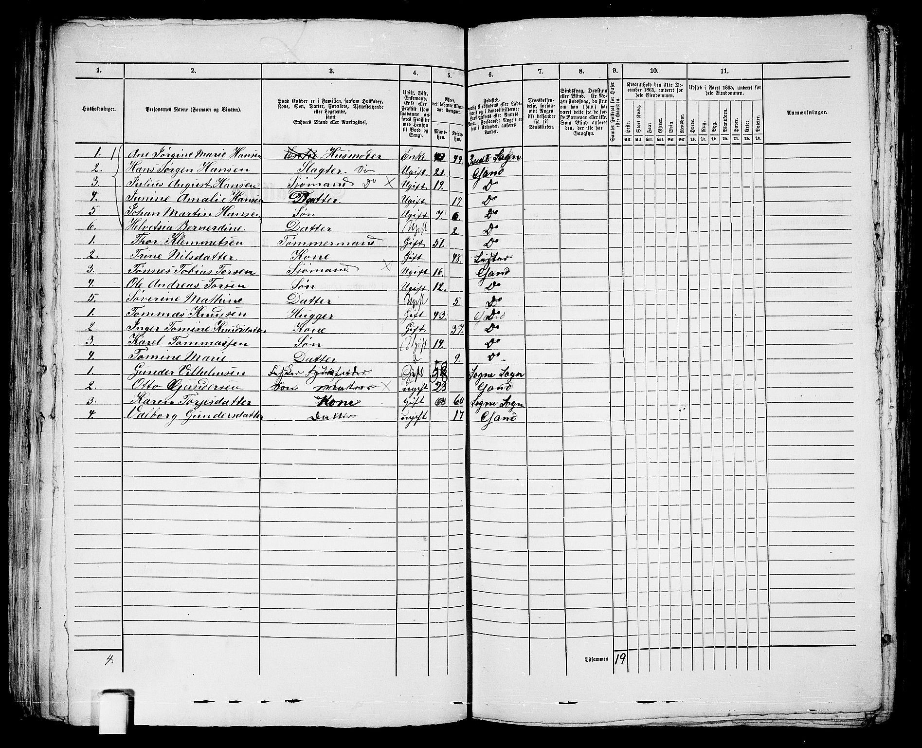 RA, 1865 census for Kristiansand, 1865, p. 139