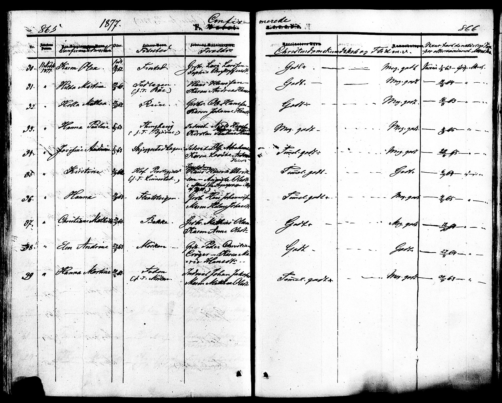 Ramnes kirkebøker, SAKO/A-314/F/Fa/L0006: Parish register (official) no. I 6, 1862-1877, p. 865-866