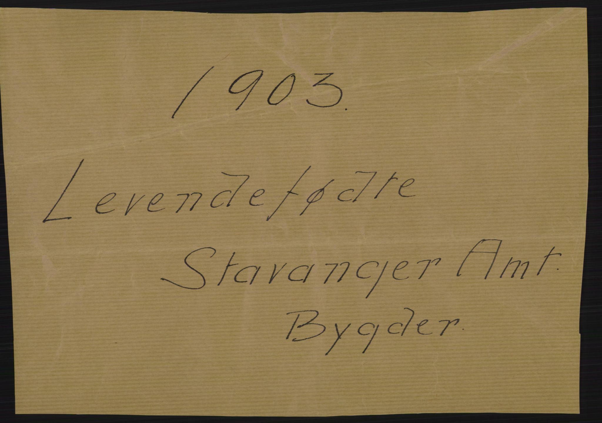 Statistisk sentralbyrå, Sosiodemografiske emner, Befolkning, RA/S-2228/D/Df/Dfa/Dfaa/L0012: Stavanger amt: Fødte, gifte, døde, 1903, p. 1