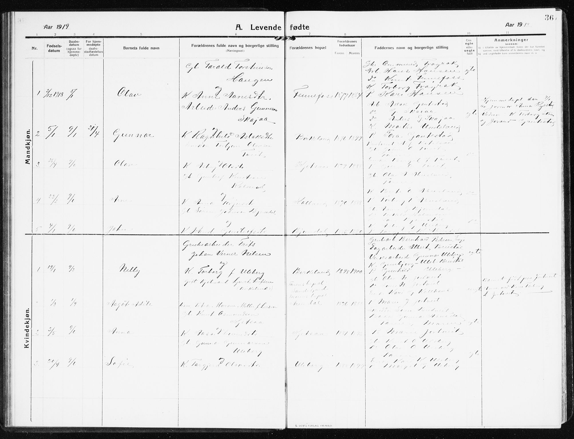 Evje sokneprestkontor, SAK/1111-0008/F/Fb/Fbb/L0003: Parish register (copy) no. B 3, 1910-1933, p. 36