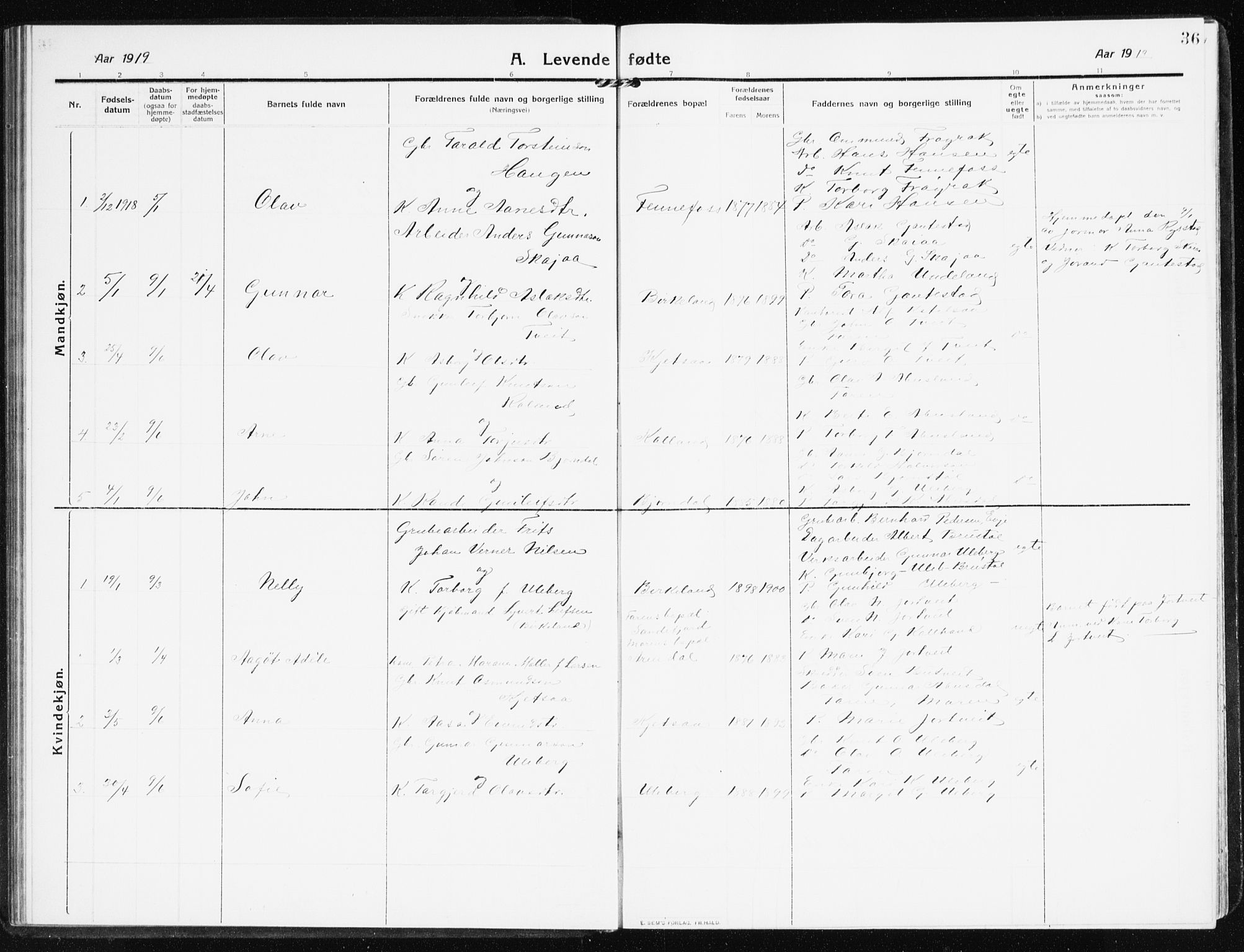 Evje sokneprestkontor, AV/SAK-1111-0008/F/Fb/Fbb/L0003: Parish register (copy) no. B 3, 1910-1933, p. 36