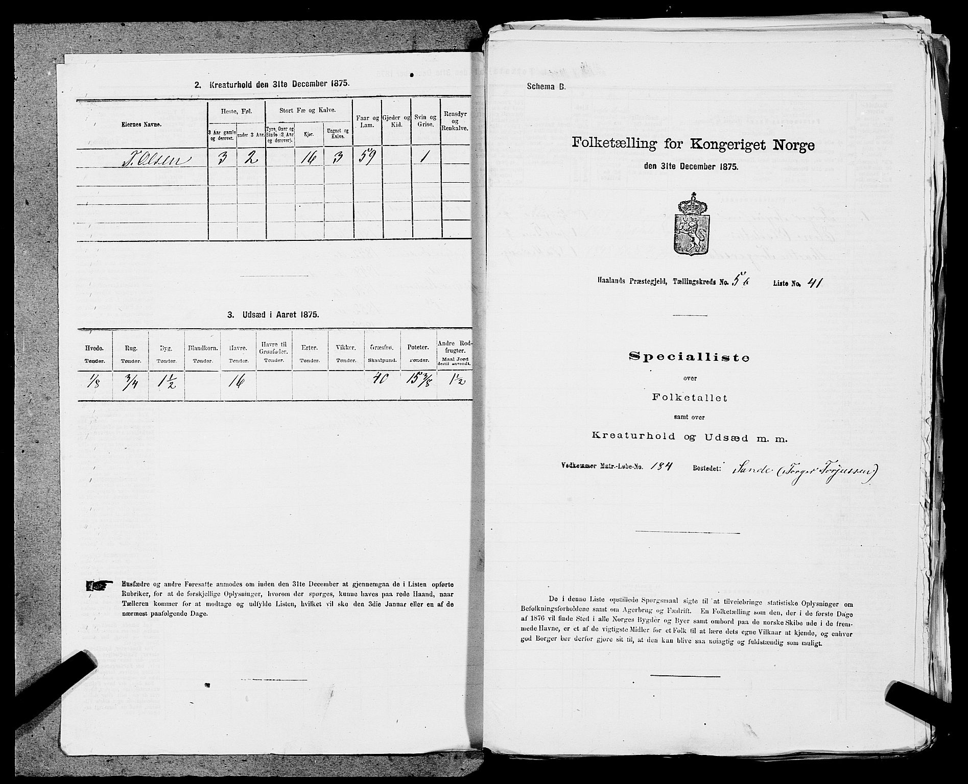 SAST, 1875 census for 1124P Håland, 1875, p. 728