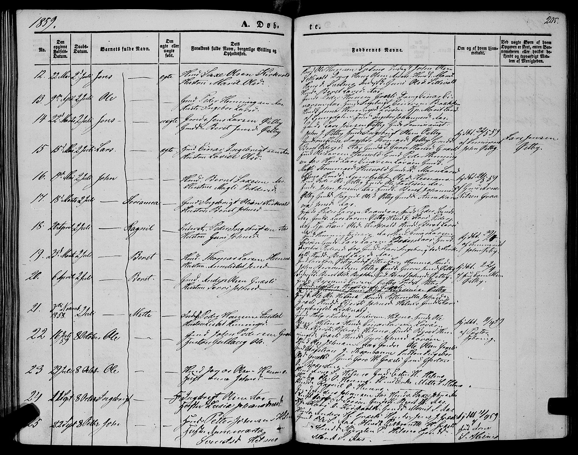Ministerialprotokoller, klokkerbøker og fødselsregistre - Sør-Trøndelag, SAT/A-1456/695/L1146: Parish register (official) no. 695A06 /2, 1843-1859, p. 205