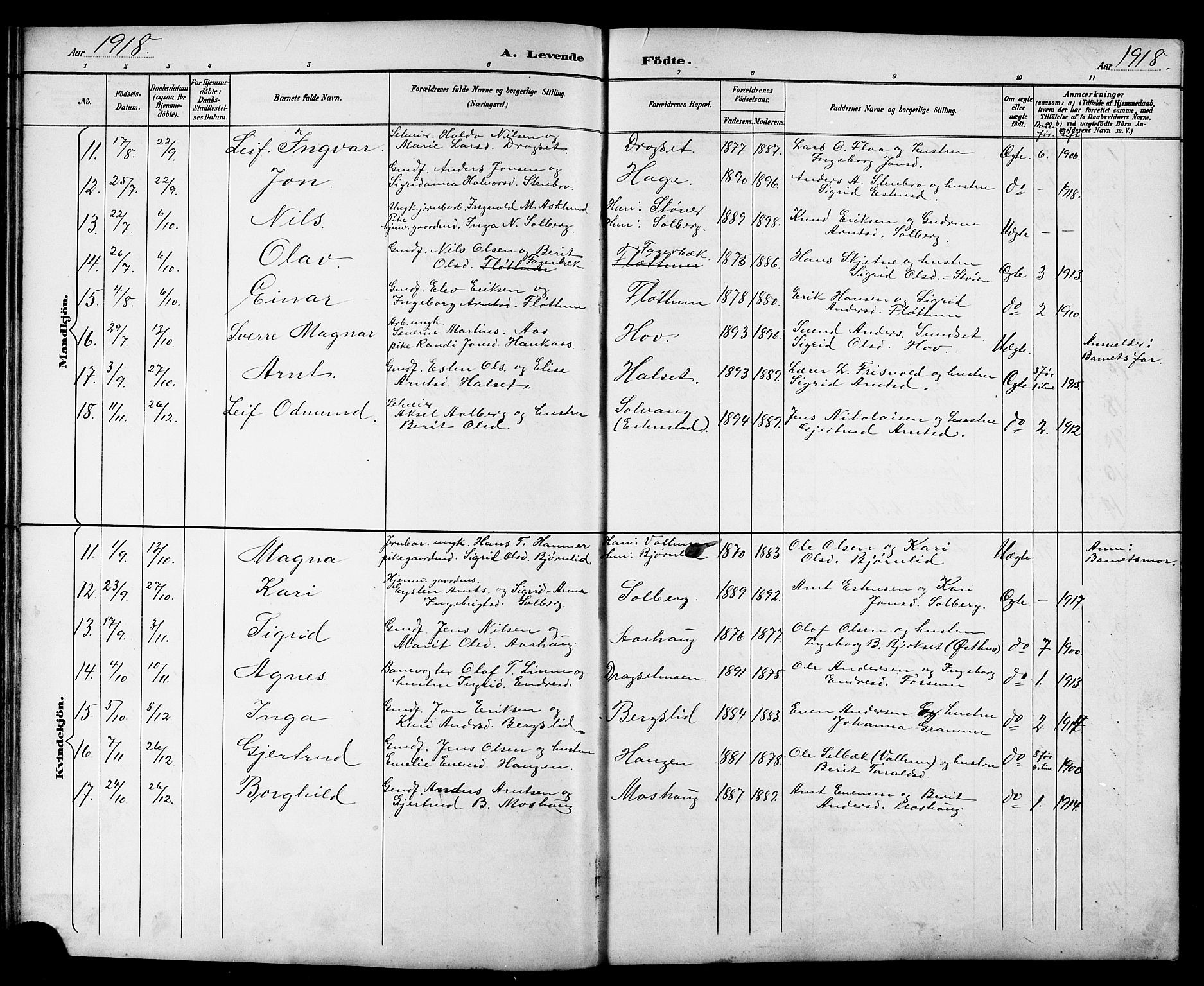 Ministerialprotokoller, klokkerbøker og fødselsregistre - Sør-Trøndelag, AV/SAT-A-1456/689/L1044: Parish register (copy) no. 689C03, 1893-1922