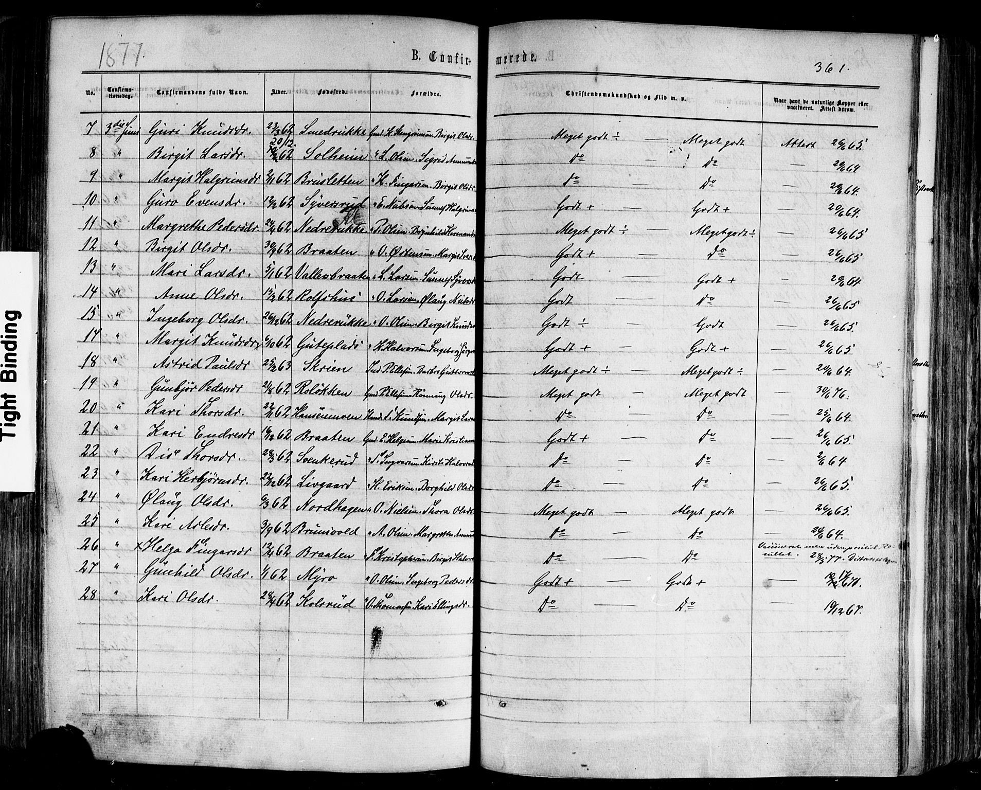 Nes kirkebøker, AV/SAKO-A-236/F/Fa/L0010: Parish register (official) no. 10, 1864-1880, p. 361