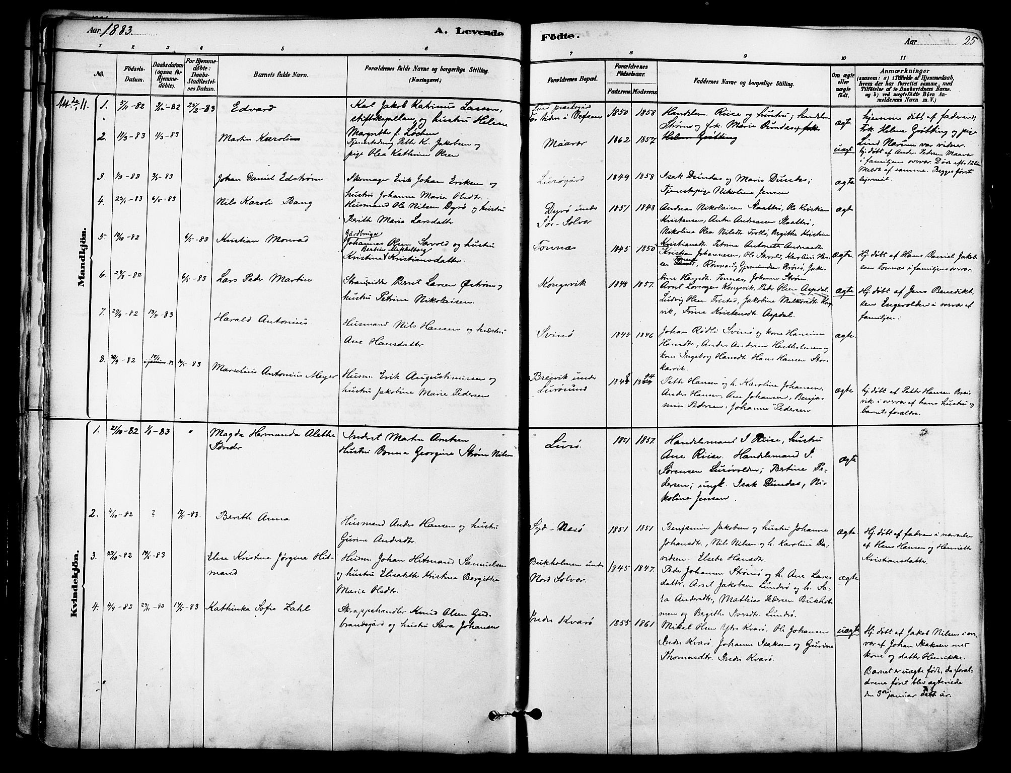 Ministerialprotokoller, klokkerbøker og fødselsregistre - Nordland, SAT/A-1459/839/L0568: Parish register (official) no. 839A05, 1880-1902, p. 25