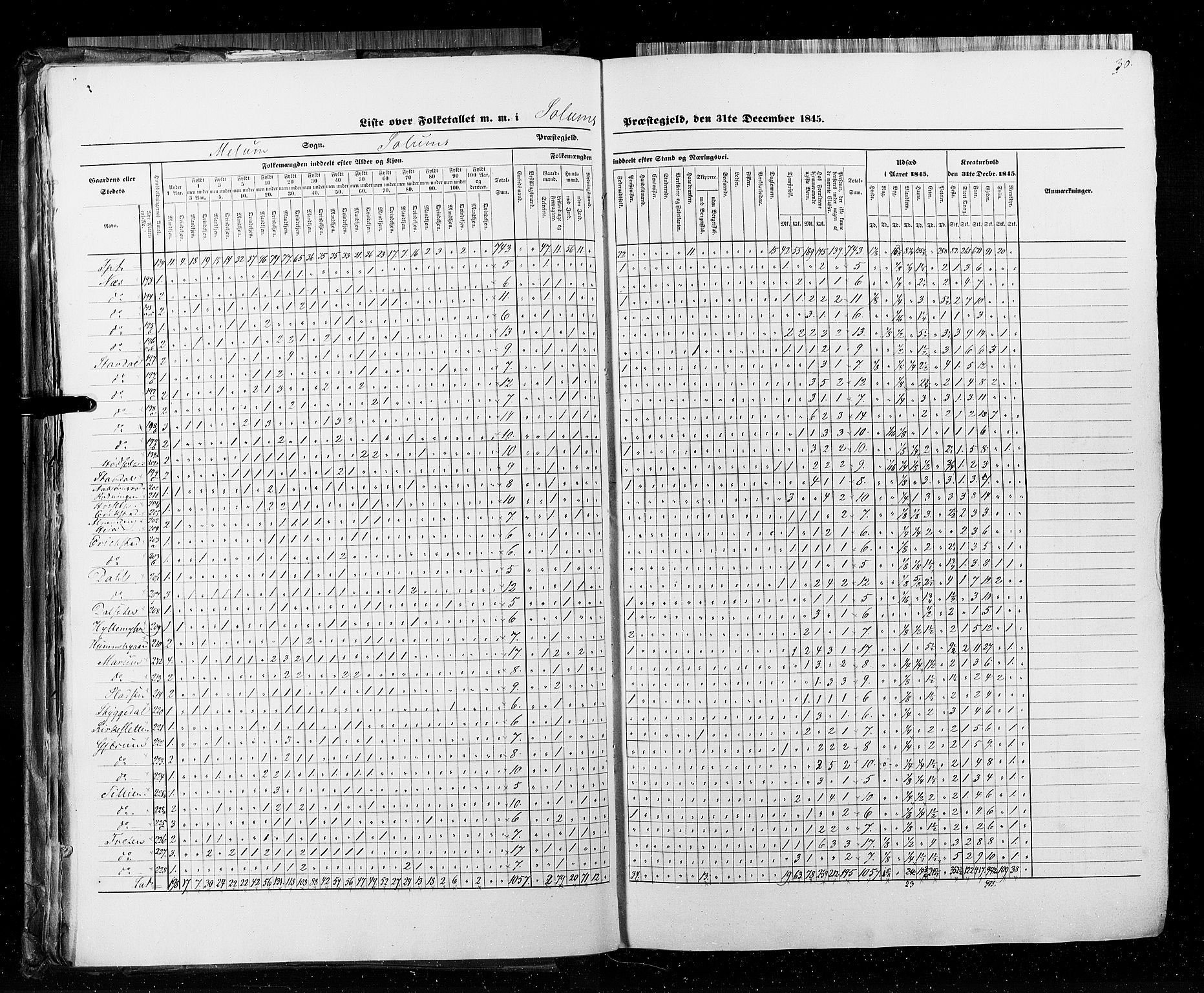 RA, Census 1845, vol. 5: Bratsberg amt og Nedenes og Råbyggelaget amt, 1845, p. 30