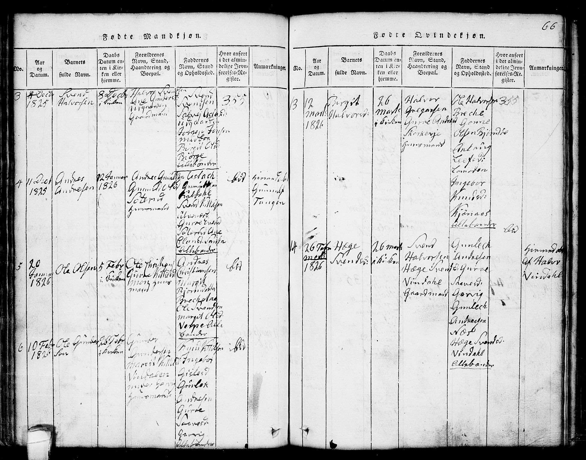 Seljord kirkebøker, AV/SAKO-A-20/G/Ga/L0001: Parish register (copy) no. I 1, 1815-1854, p. 66