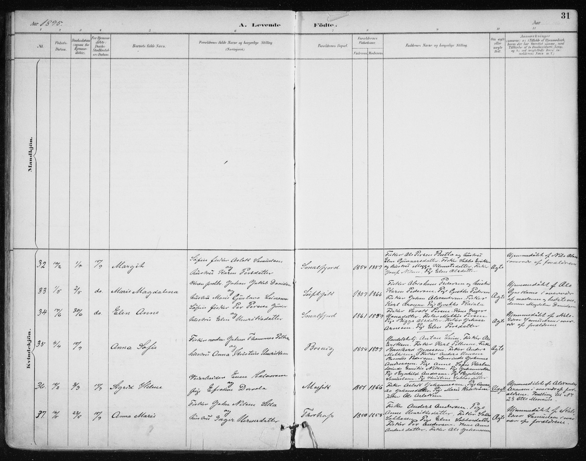 Tana sokneprestkontor, SATØ/S-1334/H/Ha/L0005kirke: Parish register (official) no. 5, 1891-1903, p. 31