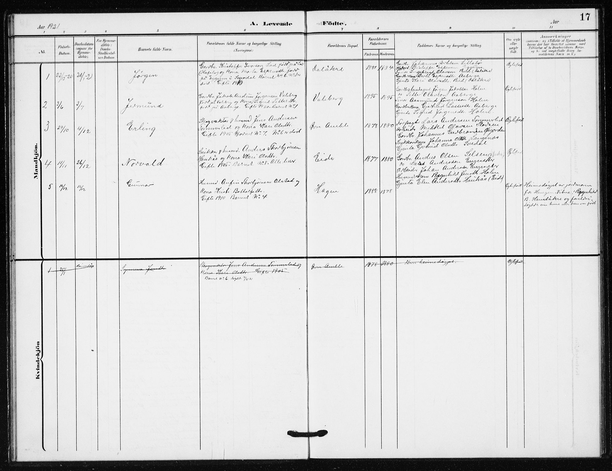 Sogndal sokneprestembete, AV/SAB-A-81301/H/Hab/Habb/L0002: Parish register (copy) no. B 2, 1908-1933, p. 17