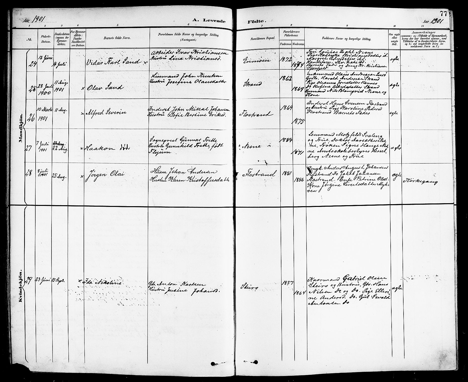 Ministerialprotokoller, klokkerbøker og fødselsregistre - Nordland, AV/SAT-A-1459/838/L0559: Parish register (copy) no. 838C06, 1893-1910, p. 77