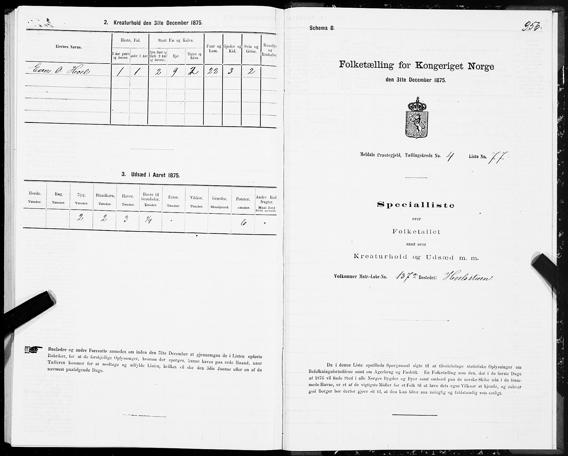 SAT, 1875 census for 1636P Meldal, 1875, p. 2356