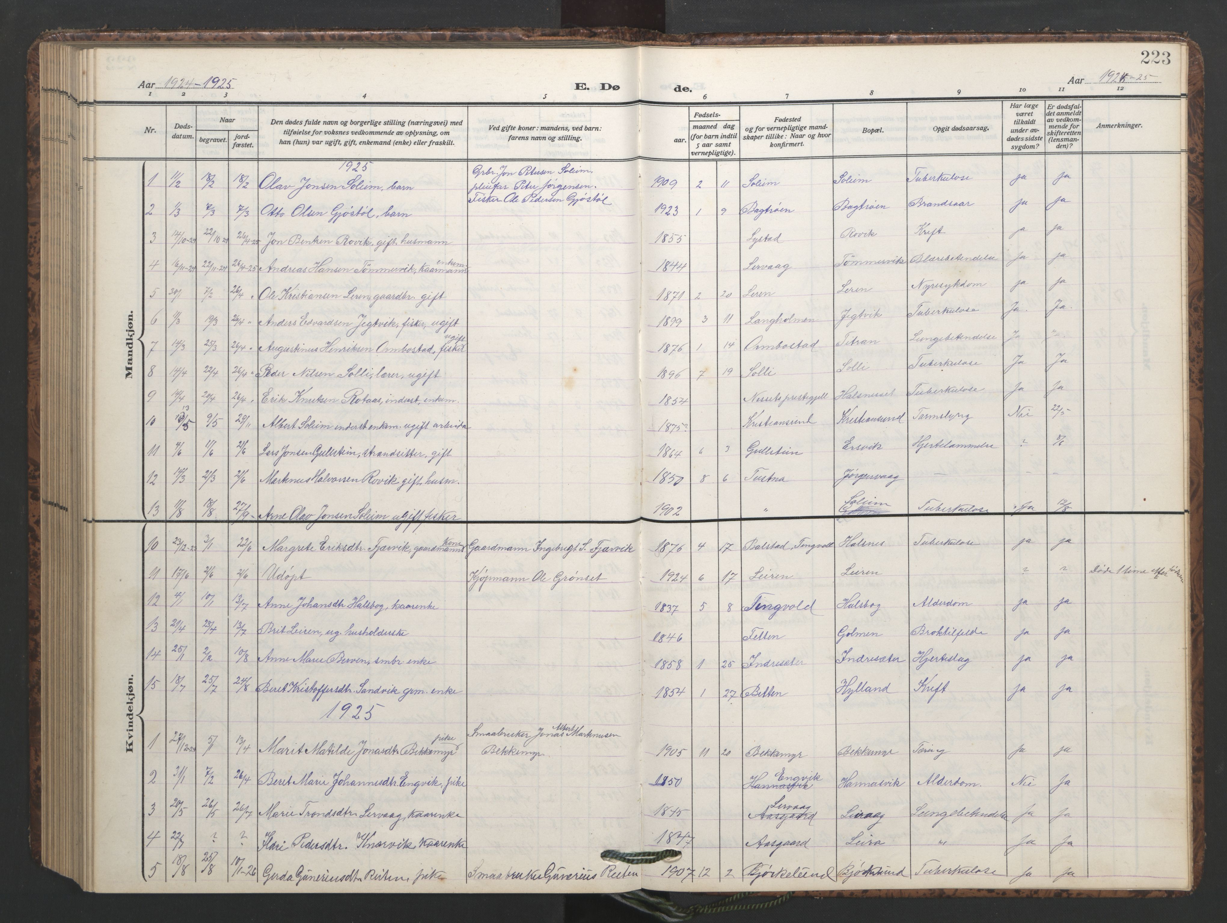 Ministerialprotokoller, klokkerbøker og fødselsregistre - Møre og Romsdal, AV/SAT-A-1454/577/L0897: Parish register (copy) no. 577C01, 1909-1946, p. 223