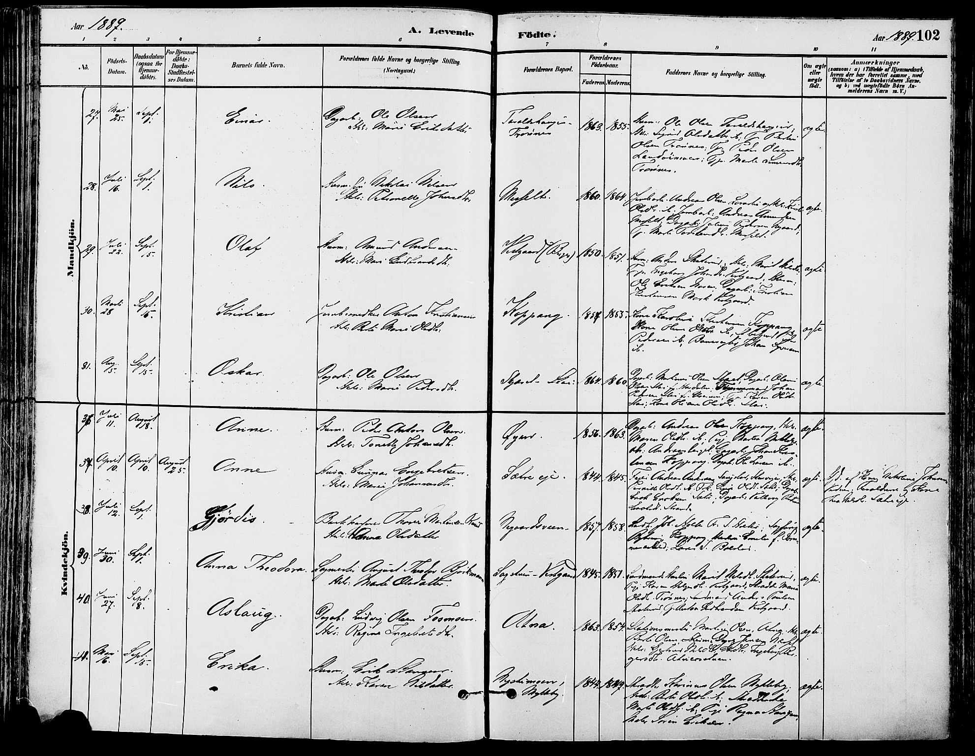 Stor-Elvdal prestekontor, AV/SAH-PREST-052/H/Ha/Haa/L0002: Parish register (official) no. 2, 1882-1907, p. 102