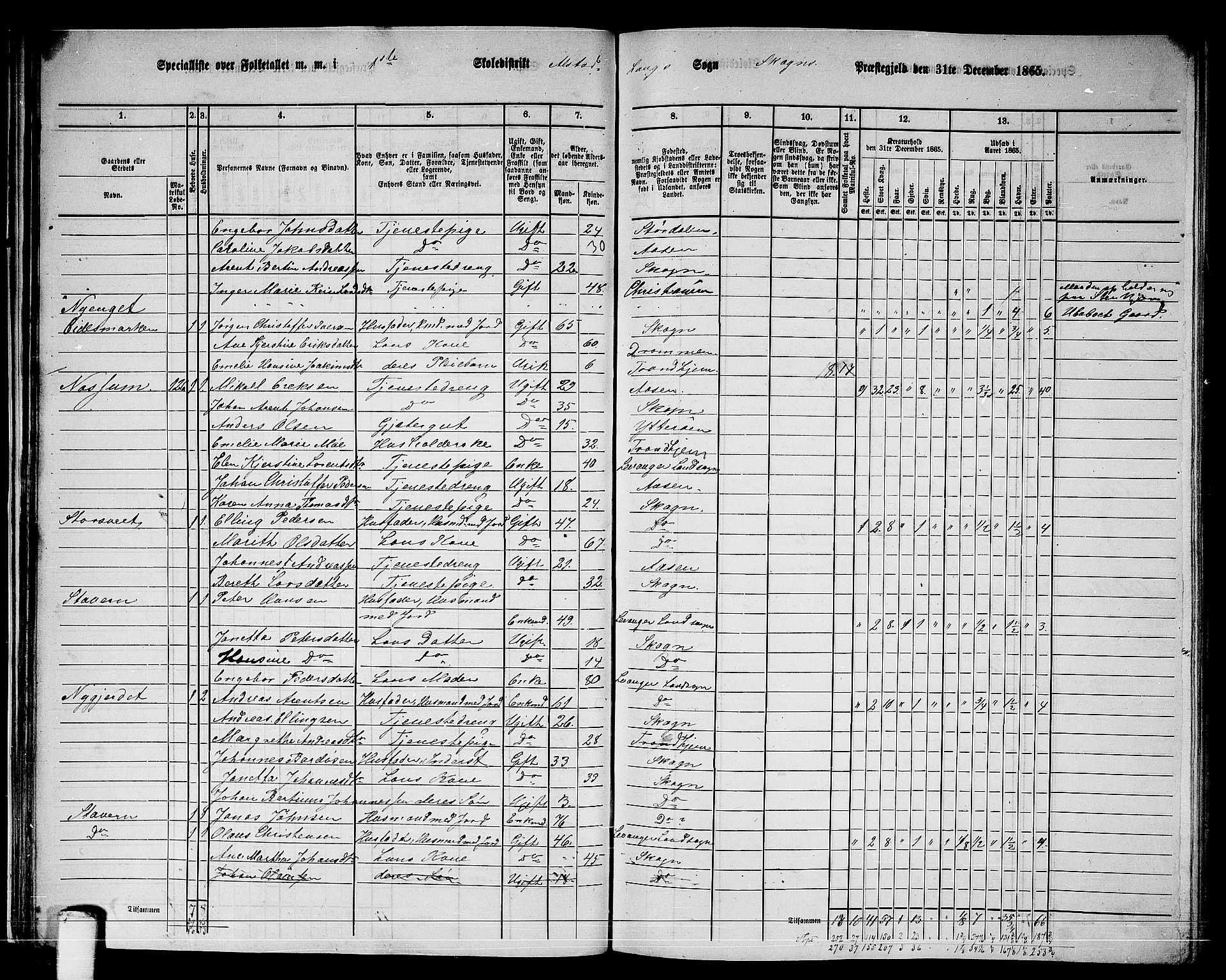 RA, 1865 census for Skogn, 1865, p. 37