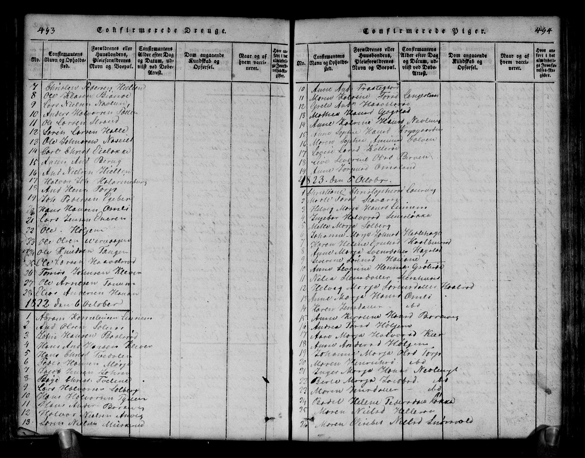 Brunlanes kirkebøker, SAKO/A-342/G/Ga/L0001: Parish register (copy) no. I 1, 1814-1834, p. 493-494
