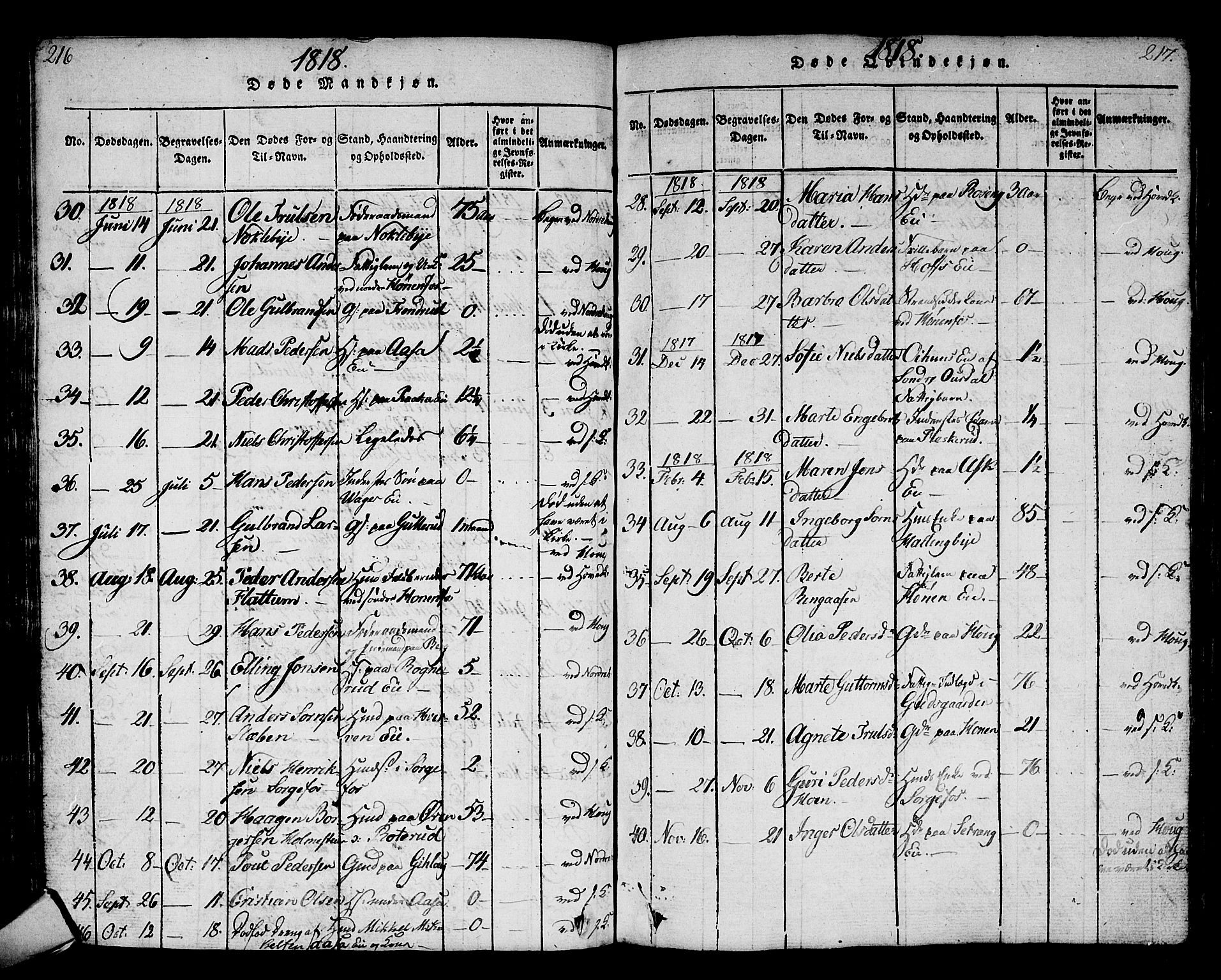 Norderhov kirkebøker, AV/SAKO-A-237/G/Ga/L0002: Parish register (copy) no. I 2, 1814-1867, p. 216-217