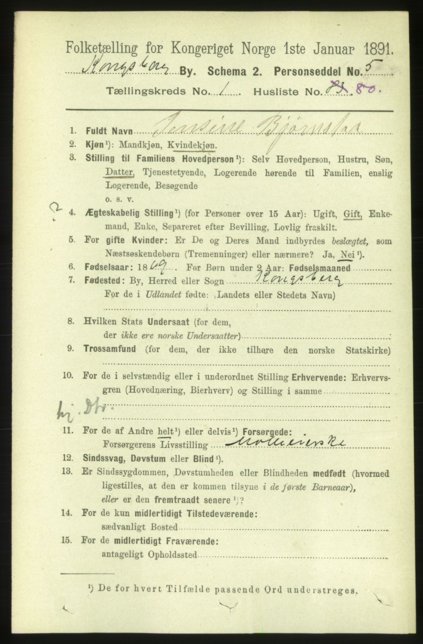 RA, 1891 census for 0604 Kongsberg, 1891, p. 2219