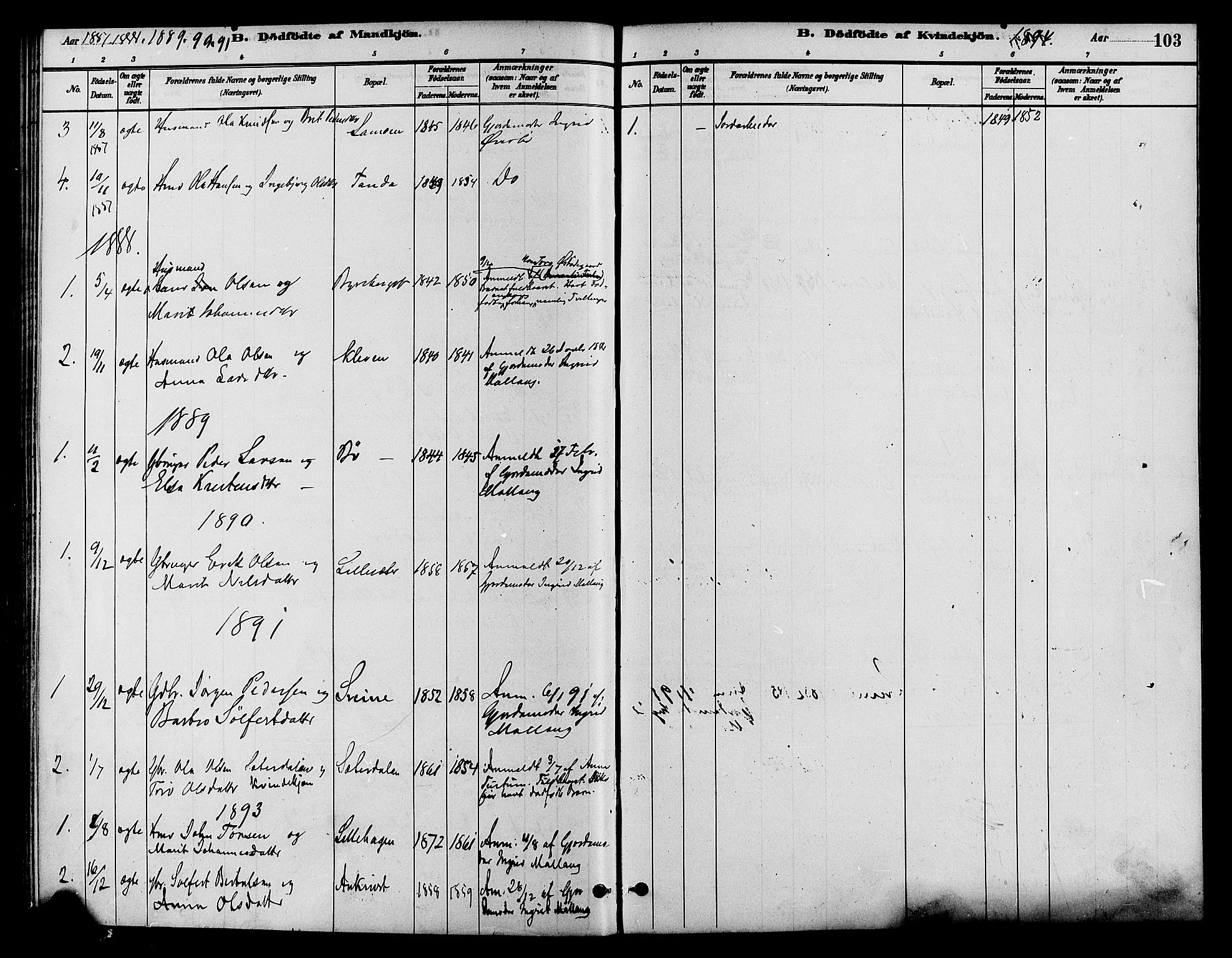 Lom prestekontor, AV/SAH-PREST-070/K/L0008: Parish register (official) no. 8, 1885-1898, p. 103