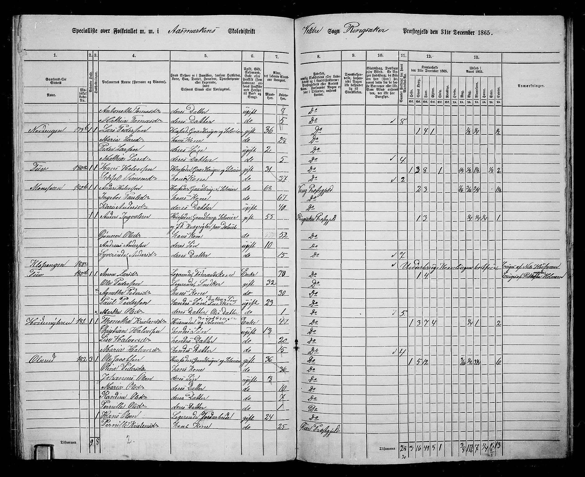 RA, 1865 census for Ringsaker, 1865, p. 224